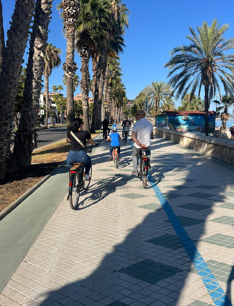 Soho Bike M&aacute;laga 17