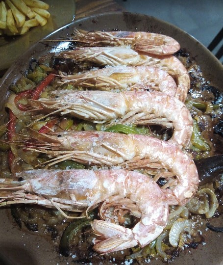 Bar Casa Hippytano 3