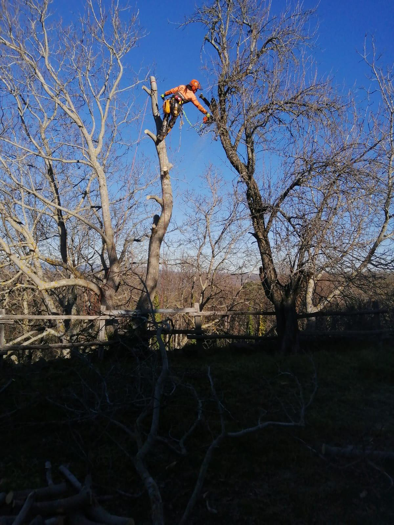 Sitta Poda Vertical 5