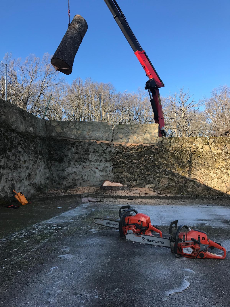 Sitta Poda Vertical 6