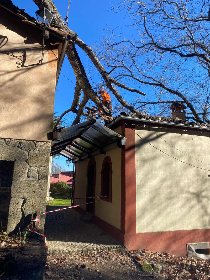 Sitta Poda Vertical 11