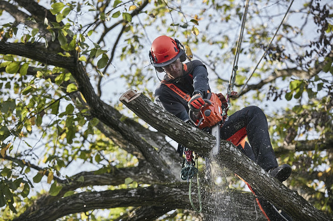 Comercial Iglesias 7