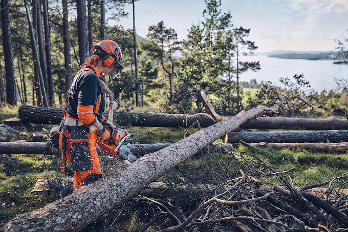 Comercial Iglesias 6