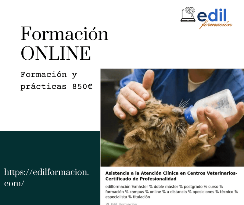 Edil Formaci&oacute;n ENSEÑANZA A DISTANCIA