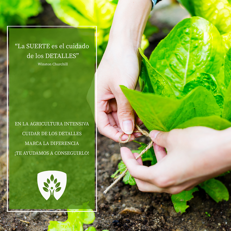 Evergreen Natural Fertilizers 5