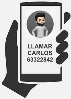 Galería de imágenes