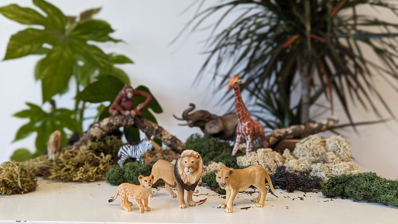 Alupé, Crecer Jugando 19