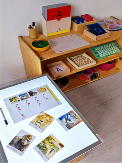 Galería de imágenes