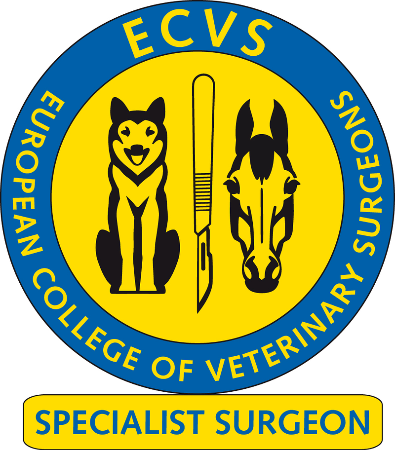 Veterinarios Planet VETERINARIOS