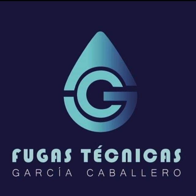 Fugas Técnicas