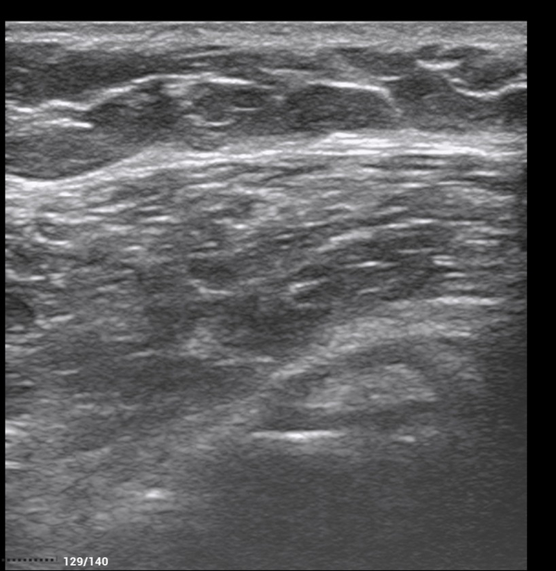 Alejandro Fidel Valma&ntilde;a S&aacute;nchez 12