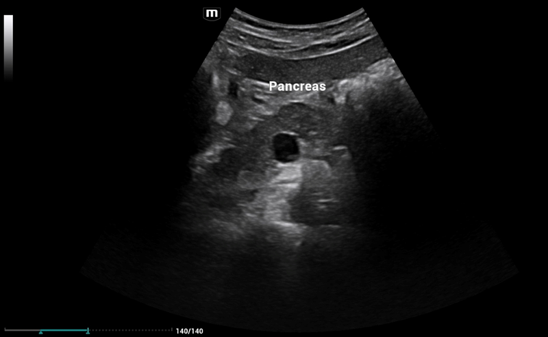 Alejandro Fidel Valma&ntilde;a S&aacute;nchez MEDICOS ESPECIALISTAS RADIODIAGNOSTICO