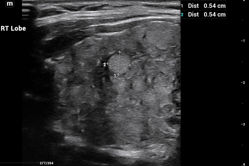 Alejandro Fidel Valma&ntilde;a S&aacute;nchez 10