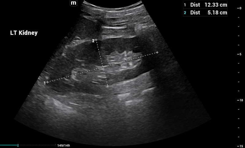 Alejandro Fidel Valma&ntilde;a S&aacute;nchez 2