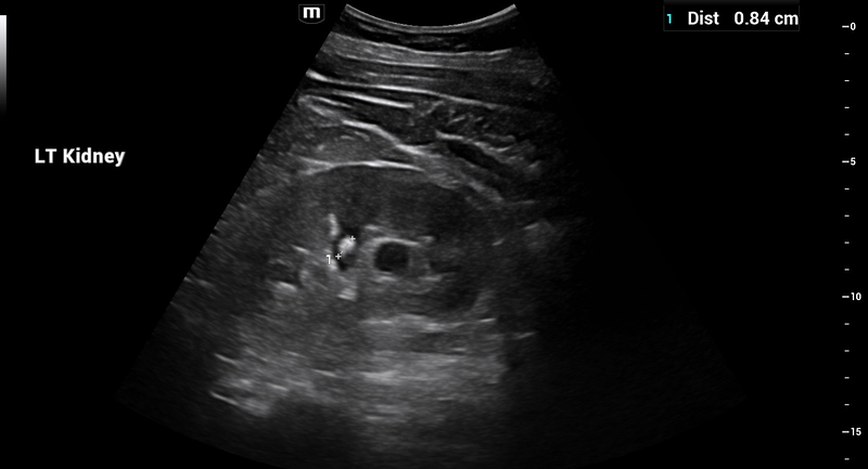 Alejandro Fidel Valma&ntilde;a S&aacute;nchez 4