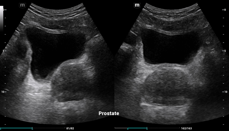 Alejandro Fidel Valma&ntilde;a S&aacute;nchez 7
