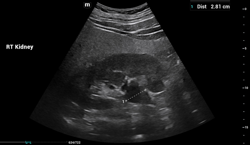 Alejandro Fidel Valma&ntilde;a S&aacute;nchez 5