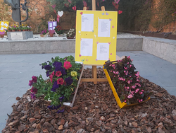 Galería de imágenes