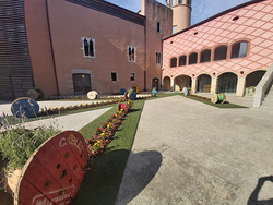 Galería de imágenes