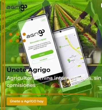 Agrigo 4