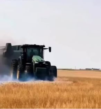 Agrigo Murla