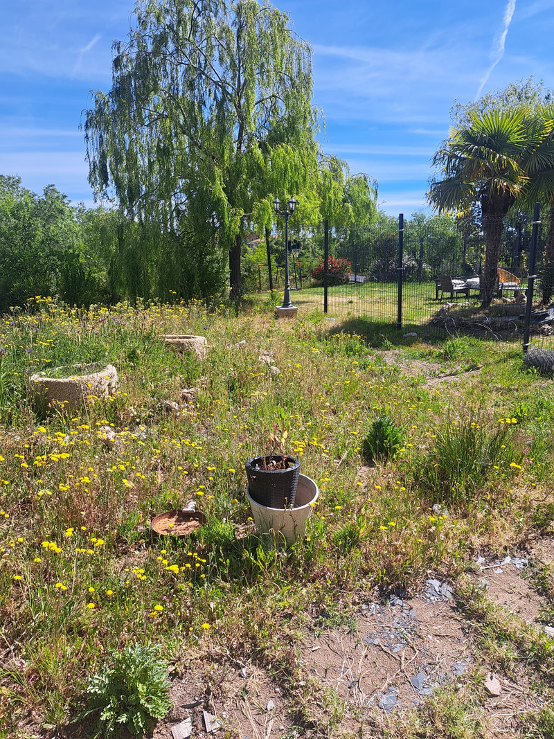 Jardineria Silvana 5