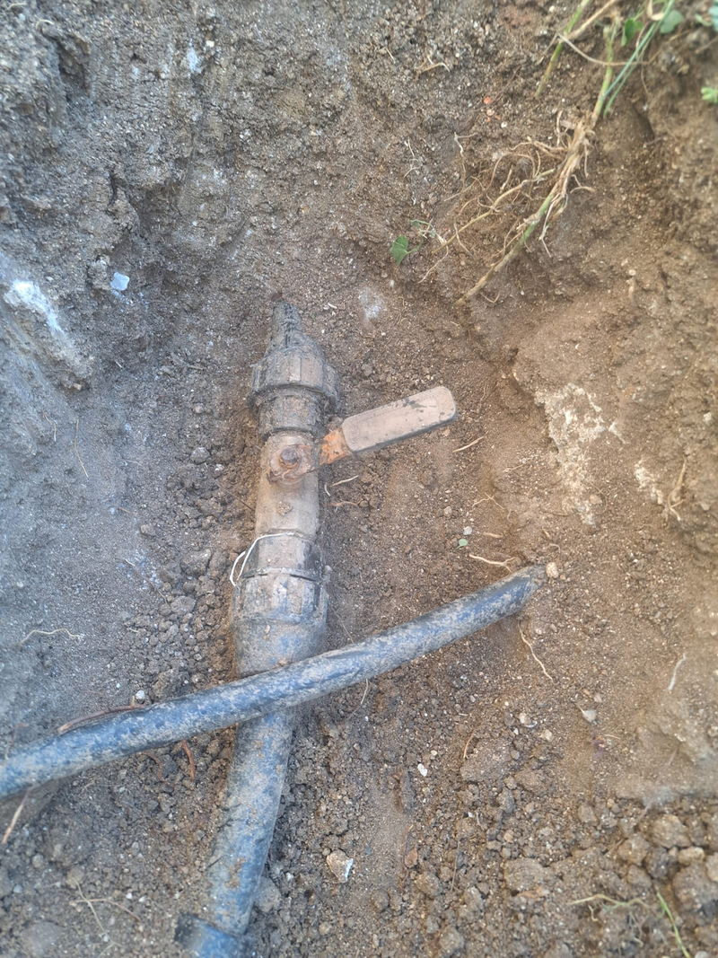 Jardineria Silvana 16