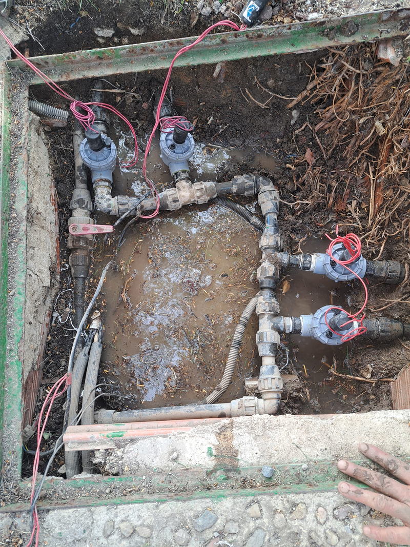 Jardineria Silvana 20