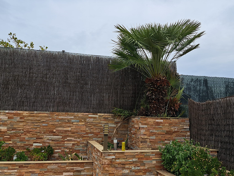 Jardineria Silvana 11