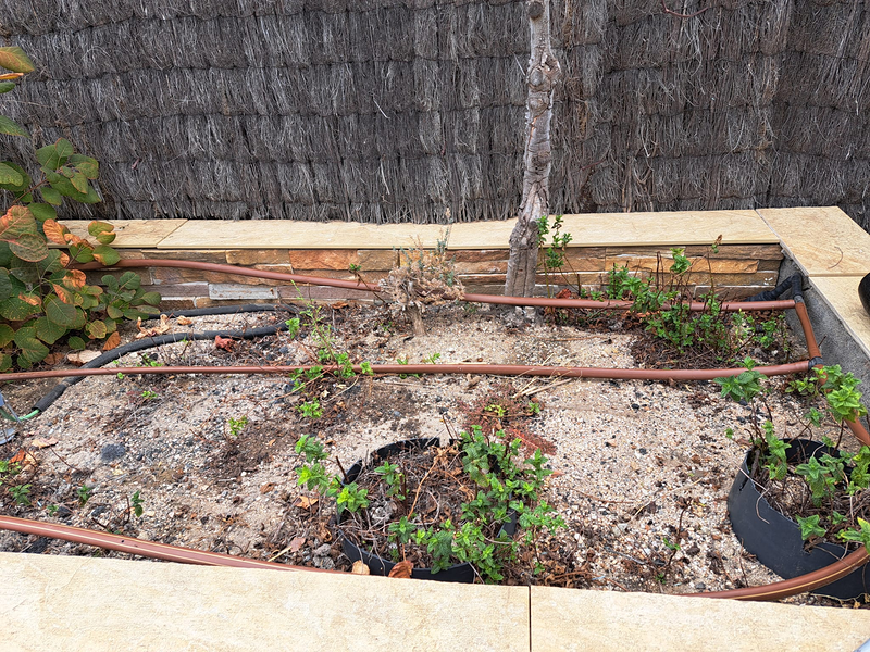 Jardineria Silvana 9