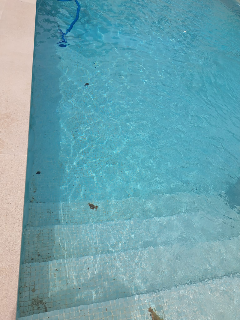 Jardineria Silvana 13