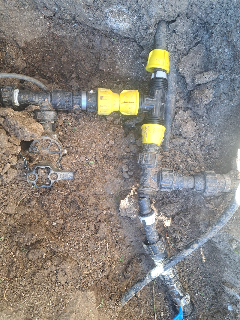 Jardineria Silvana 15