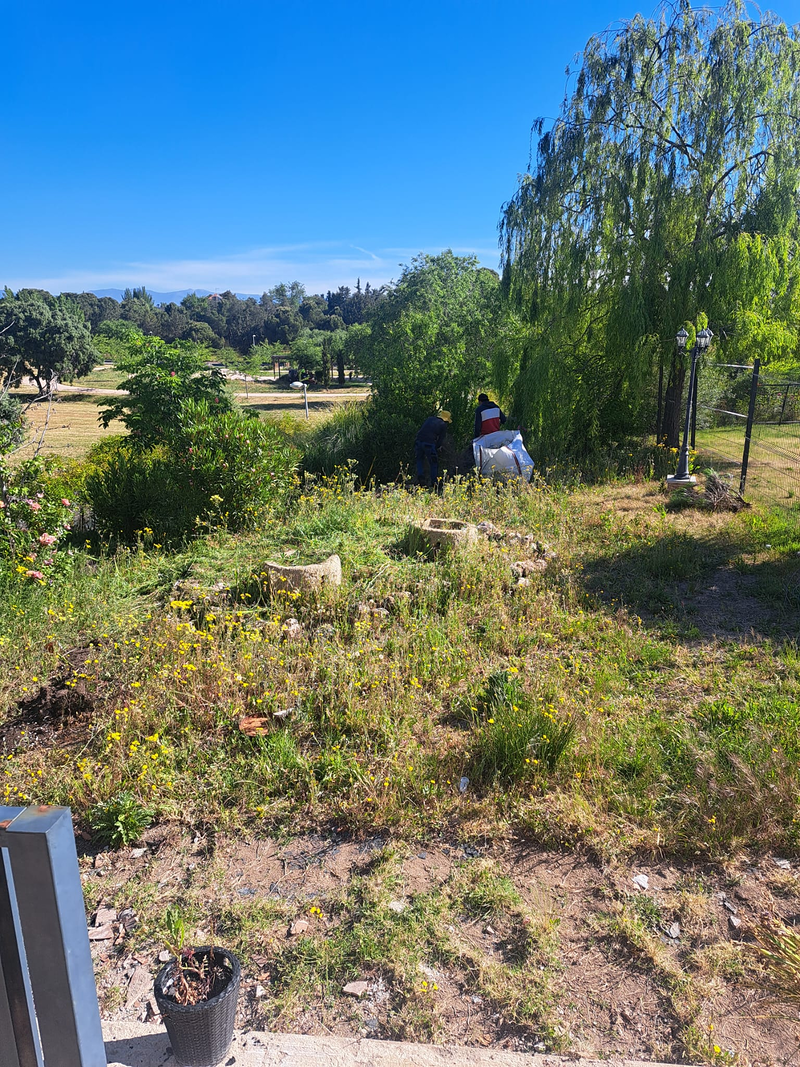 Jardineria Silvana 4