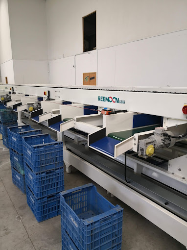 Marhogroup 2