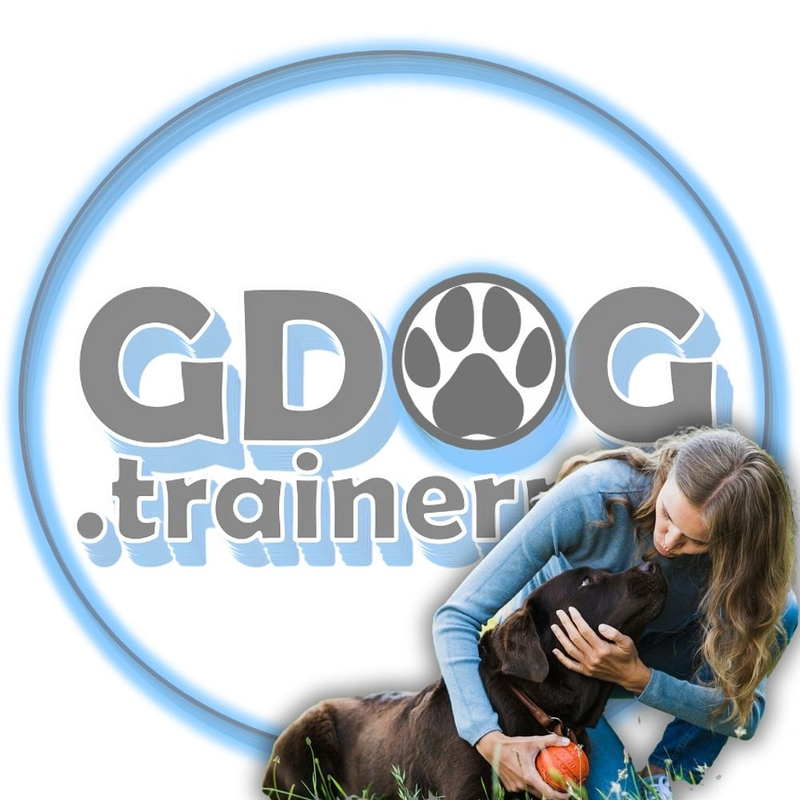GDOG.Trainerpro 15
