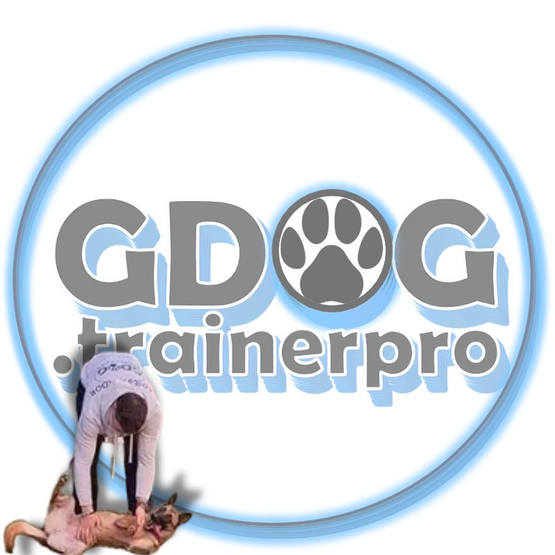 GDOG.Trainerpro 12