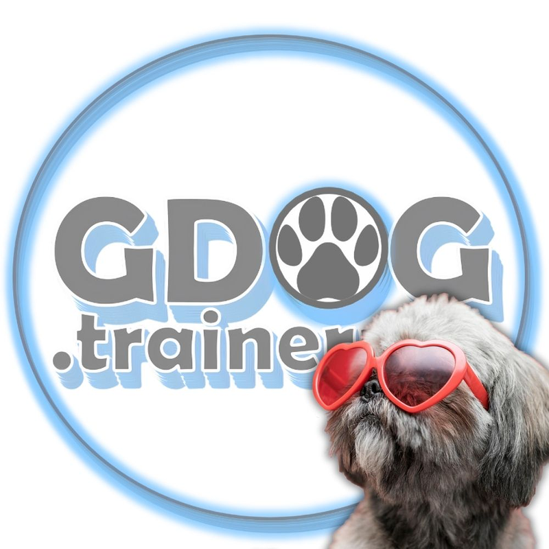 GDOG.Trainerpro 16