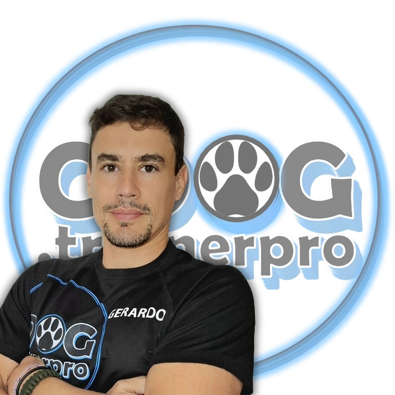 GDOG.Trainerpro 13