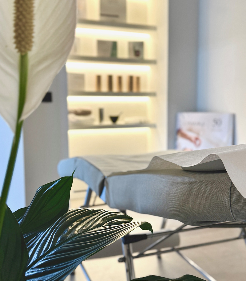 Alina Beauty Salon 2