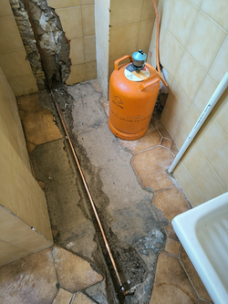 Galería de imágenes