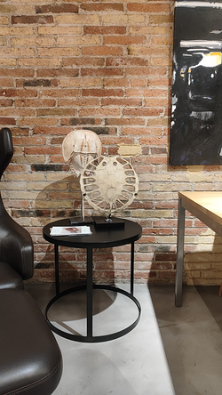 Galería de imágenes