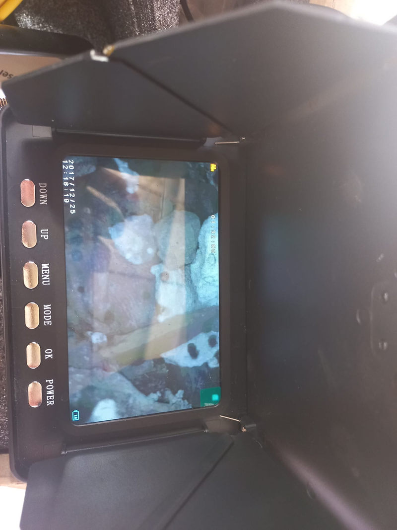 Joblape Multiservicios 17