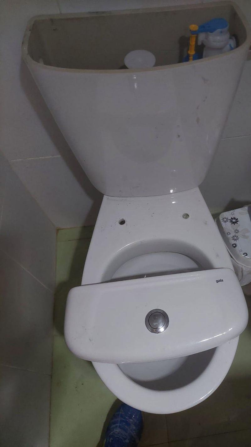 Joblape Multiservicios 13