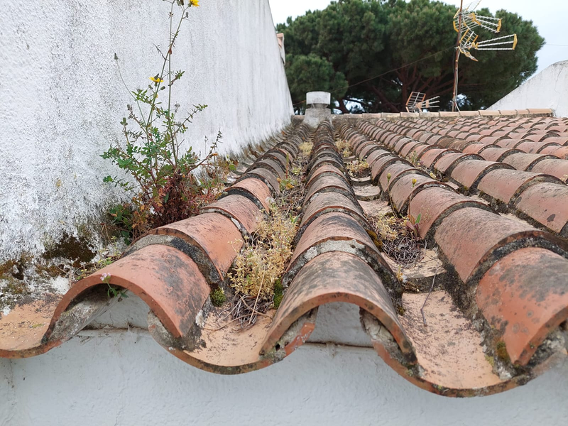 Joblape Multiservicios 11