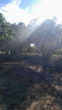 Galería de imágenes