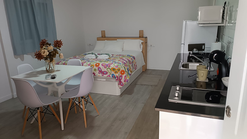 Alaudae Apartamentos APARTAMENTOS TURISTICOS Y CASAS DE VACACIONES: ALQUILER