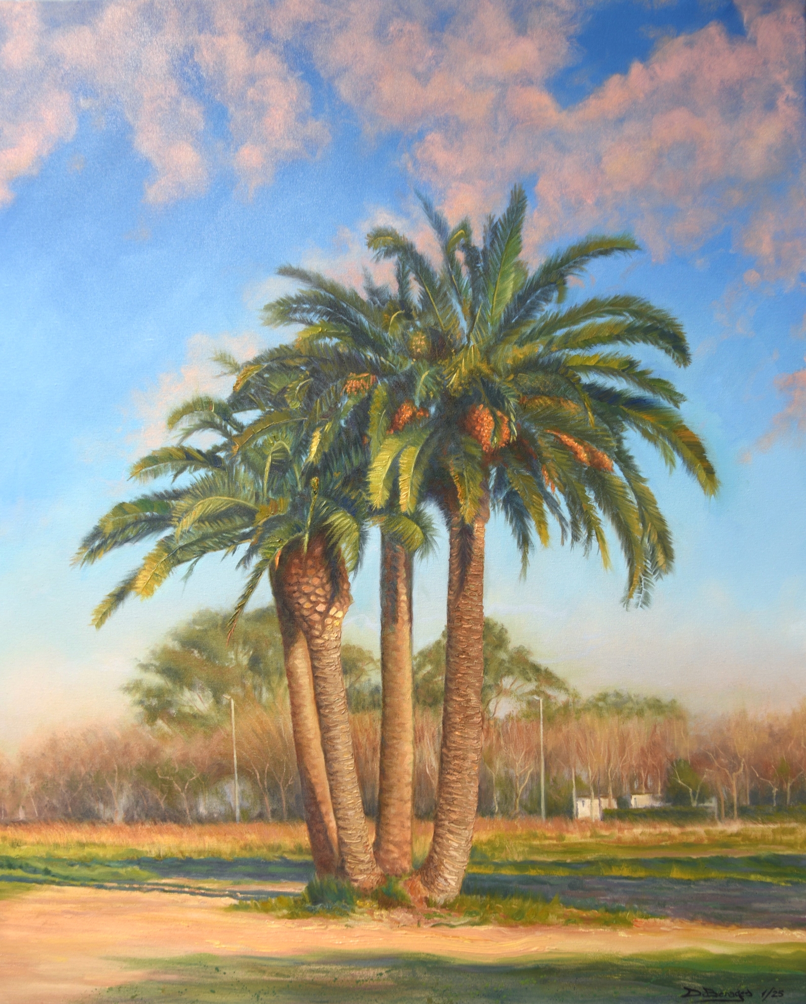 Cuadros Al Oleo Por Encargo 19