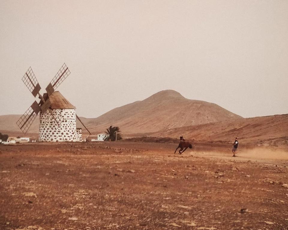 Hotel Casa Cocolores 8