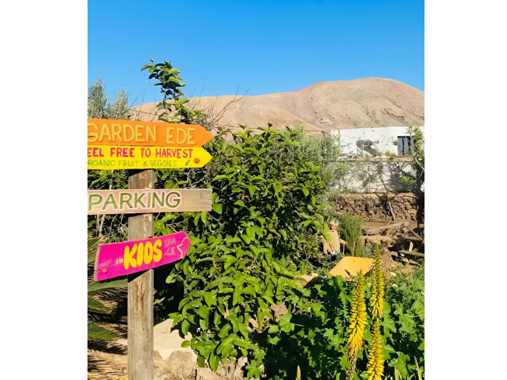 Hotel Casa Cocolores 25