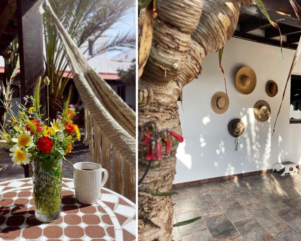 Hotel Casa Cocolores 21